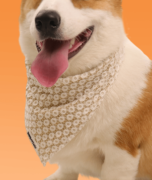 Bandanas de chiens floraux de brillance