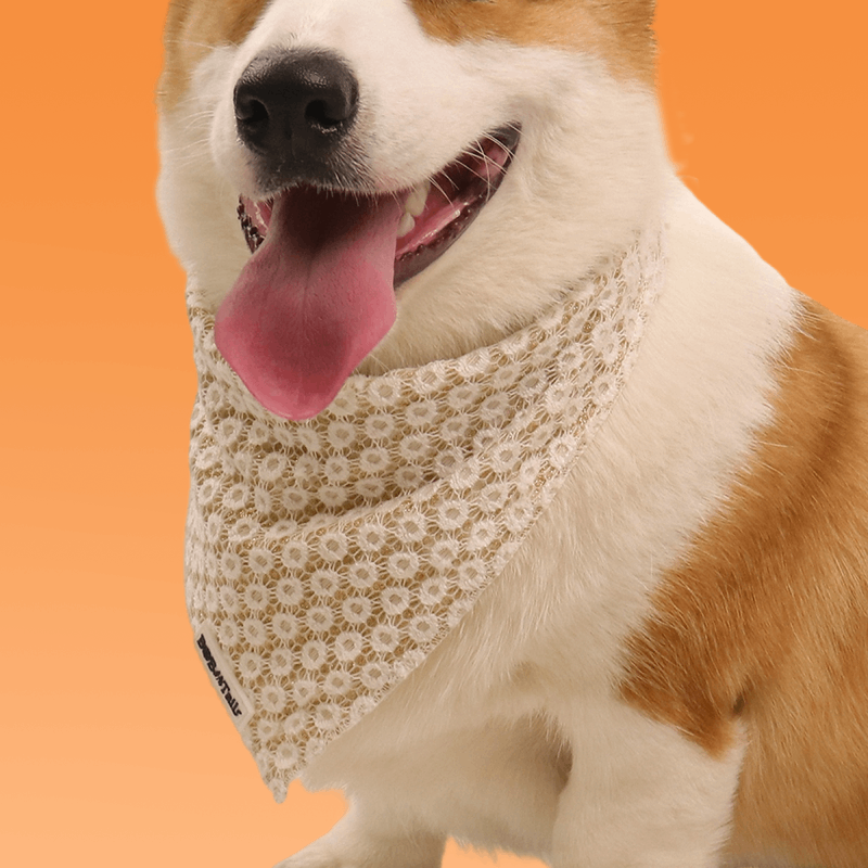 Bandanas de chiens floraux de brillance