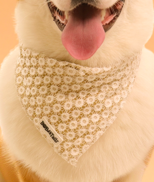 Bandanas de chiens floraux de brillance