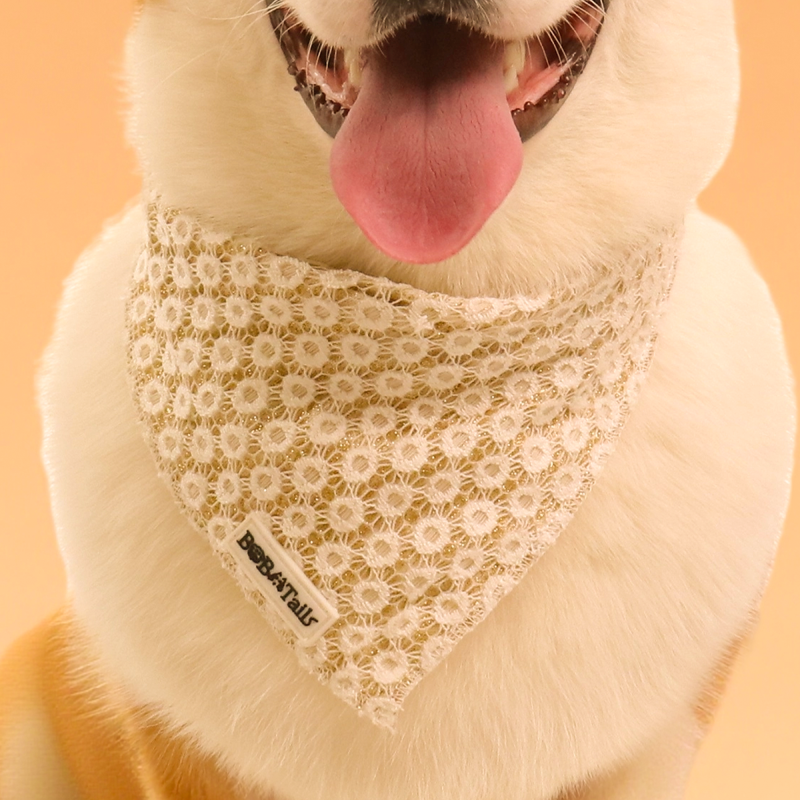 Bandanas de chiens floraux de brillance