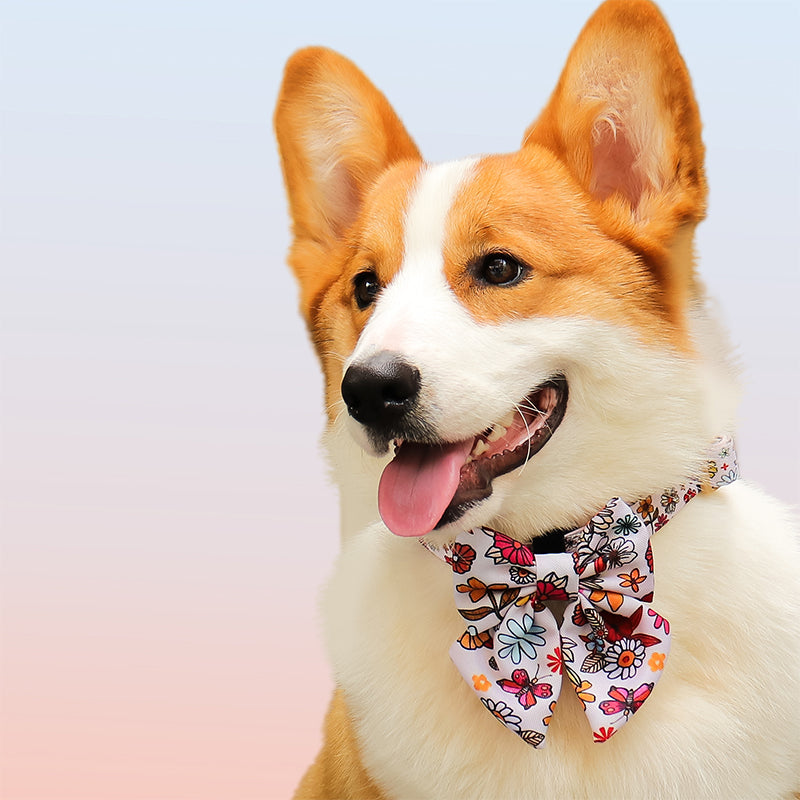 Flower Print dog birthday bow tie designed to match the harness and owner accessories in a coordinated system