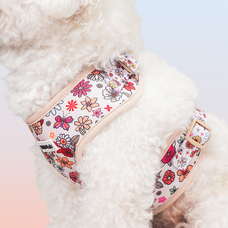Flower Printed best dog harness no-pull as part of a complete dog and owner matching accessory set