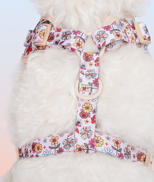 Flower Printed best dog harness to stop pulling side view of leopard dog harness showing fit and comfort within a coordinated dog and owner matching system  