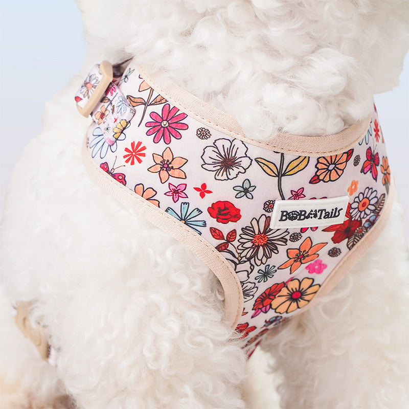 Flower Printed custom harness for dogs as part of a complete dog and owner matching accessory set