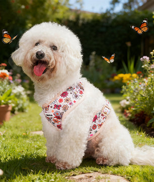 Flower Printed soft dog harness for small dog as part of a complete dog and owner matching accessory set