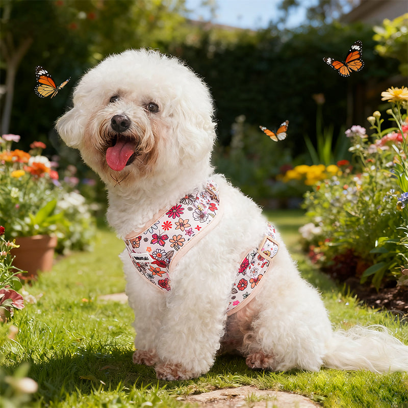 Flower Printed soft dog harness for small dog as part of a complete dog and owner matching accessory set