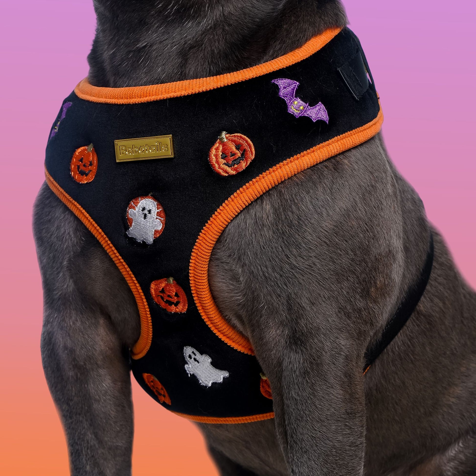 Dog wearing a Halloween-themed harness with pumpkins, ghosts, and bats on frenchie dogs-bobotails