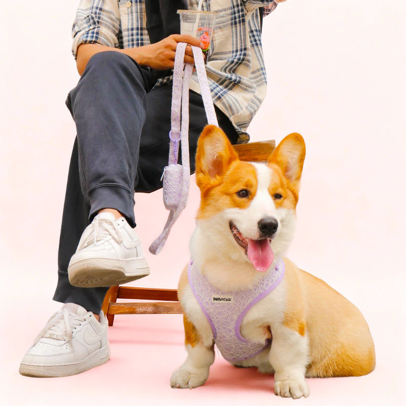 lavender lace dog harness and leash set designed as part of a matching dog and owner accessory system for everyday walks