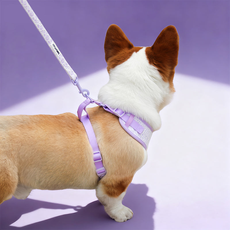 Small dog leash lavender lace design – matching dog and owner outfits | Bobotails