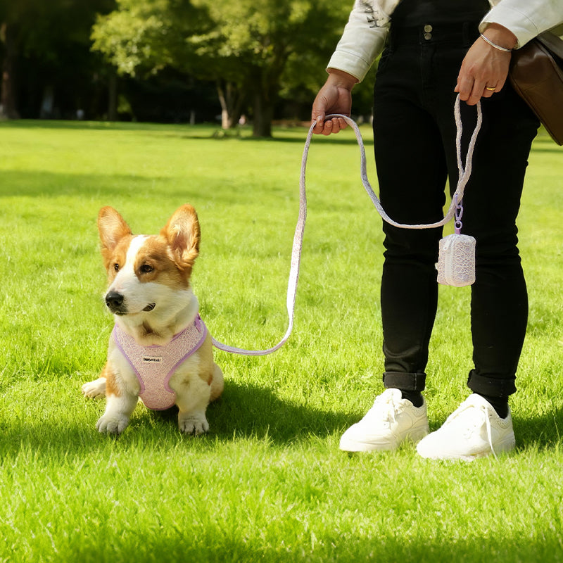 Lavender lace biodegradable poop bags holder  matching the Lavender lace harness and owner accessories for daily dog walks