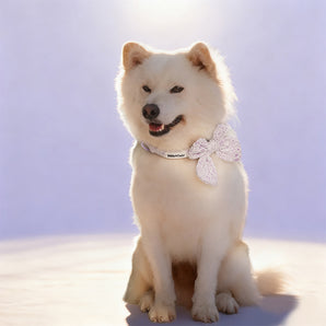 Lavender lace dog bow ties collars  design to match the lavender lace harness and owner accessories for daily dog walks