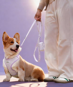 Lavender lace cute dog leash for small dogs – matching dog and owner outfits \| Bobotails