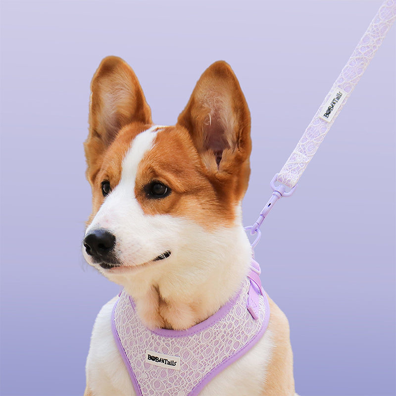 Romantic lavender dog walking leash – coordinated dog and owner matching set | Bobotails