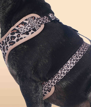 Leopard Print dog harness for large dogs as part of a coordinated dog and owner accessory system