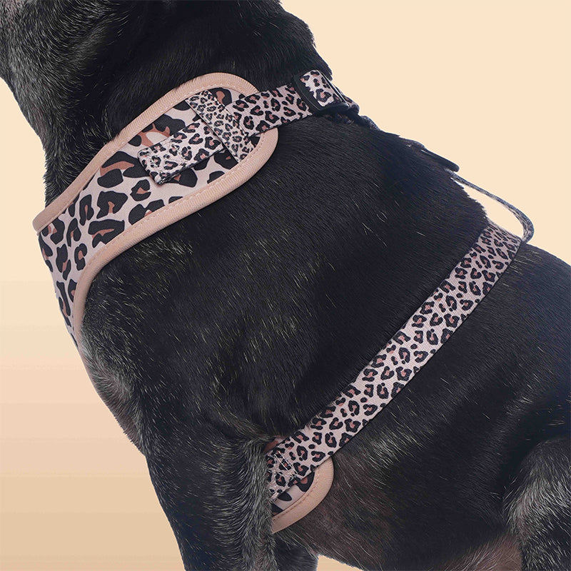 Leopard Print dog harness for large dogs as part of a coordinated dog and owner accessory system