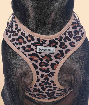 Leopard Print dog harness medium sized dog as part of a coordinated dog and owner accessory system
