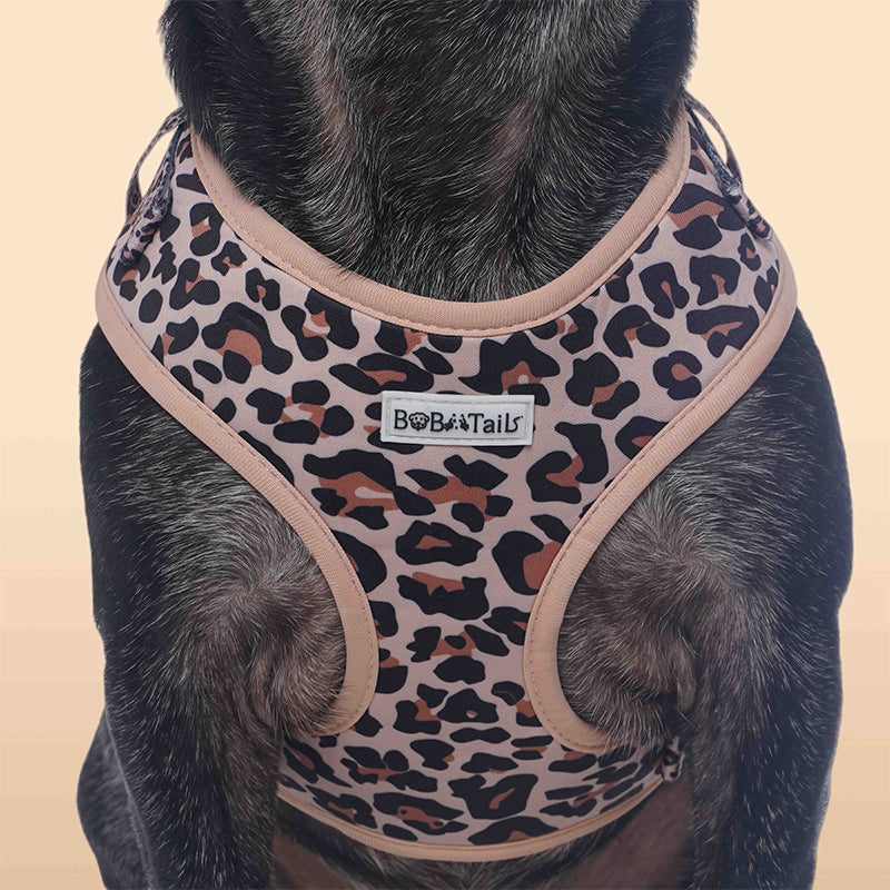 Leopard Print dog harness medium sized dog as part of a coordinated dog and owner accessory system