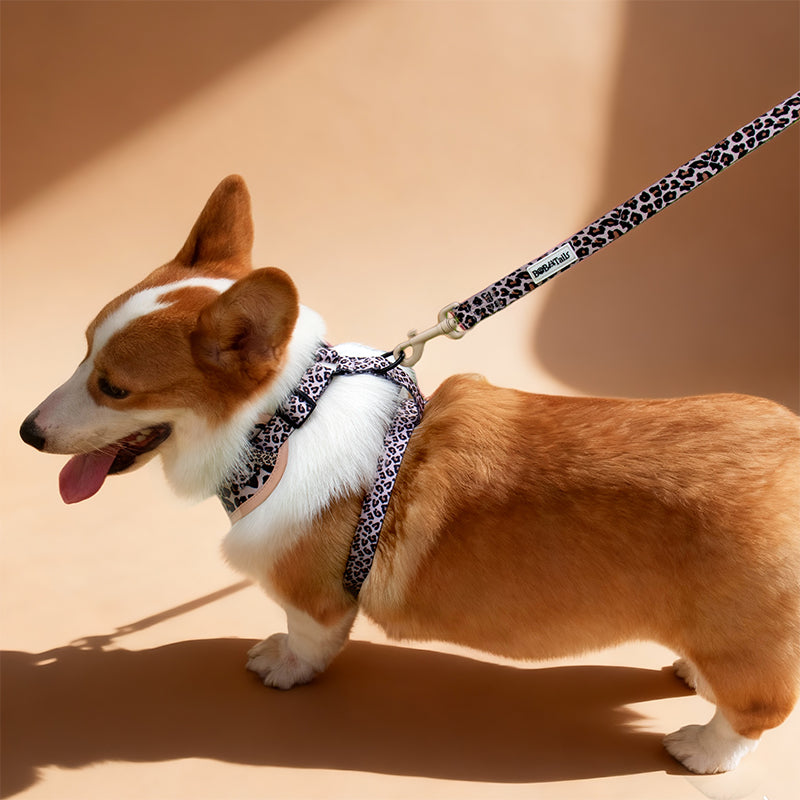 Leopard Print dog hiking harness designed to match the harness and owner accessories in a coordinated system
