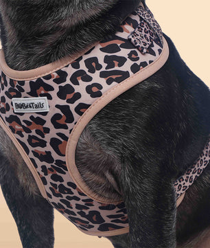 Side view of leopard no pull dog harness showing fit and comfort within a coordinated dog and owner matching system