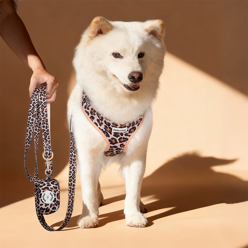 Leopard Print rope dog leash matching the harness and owner accessories in a coordinated set