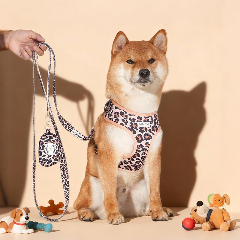 Leopard Print slip lead dog leash  matching the harness and owner accessories in a coordinated set