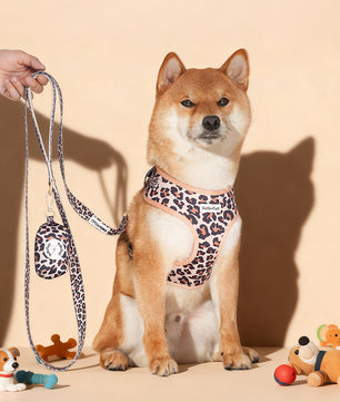 Leopard Print slip lead dog leash  matching the harness and owner accessories in a coordinated set