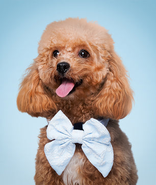 bow tie and collar for dog designed to complement the harness and accessories within the set