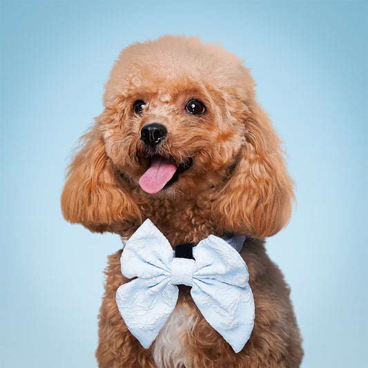 bow tie and collar for dog designed to complement the harness and accessories within the set