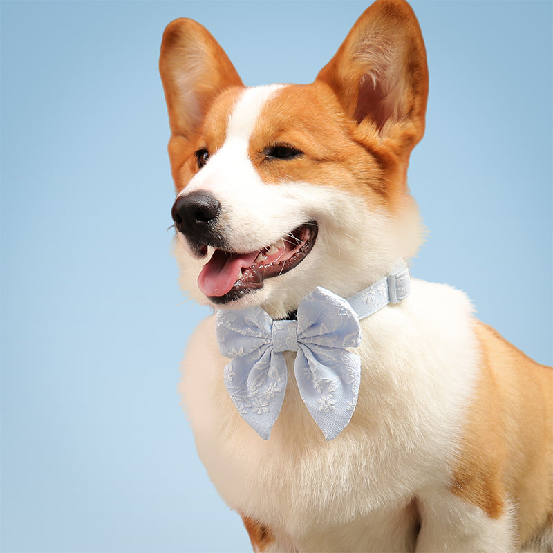 Morning Glory blue dog bow tie collars designed to complement the harness and accessories within the set 
