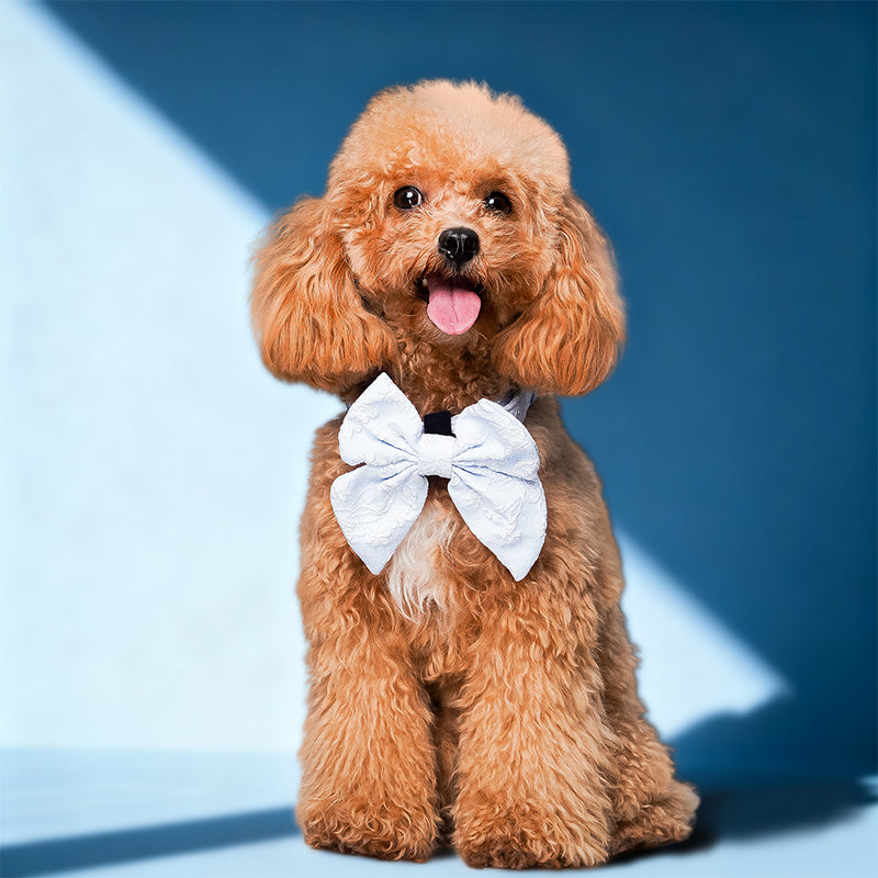 Morning Glory dog bow tie wedding  designed to complement the harness and accessories within the set