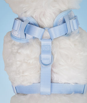 Side view of Morning Glory dog jacket with harness showing fit and comfort within a coordinated dog and owner matching system
