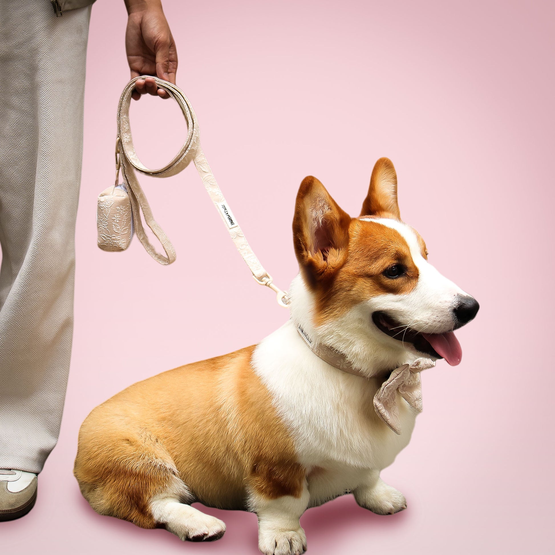 Morning Glory Dog Lash