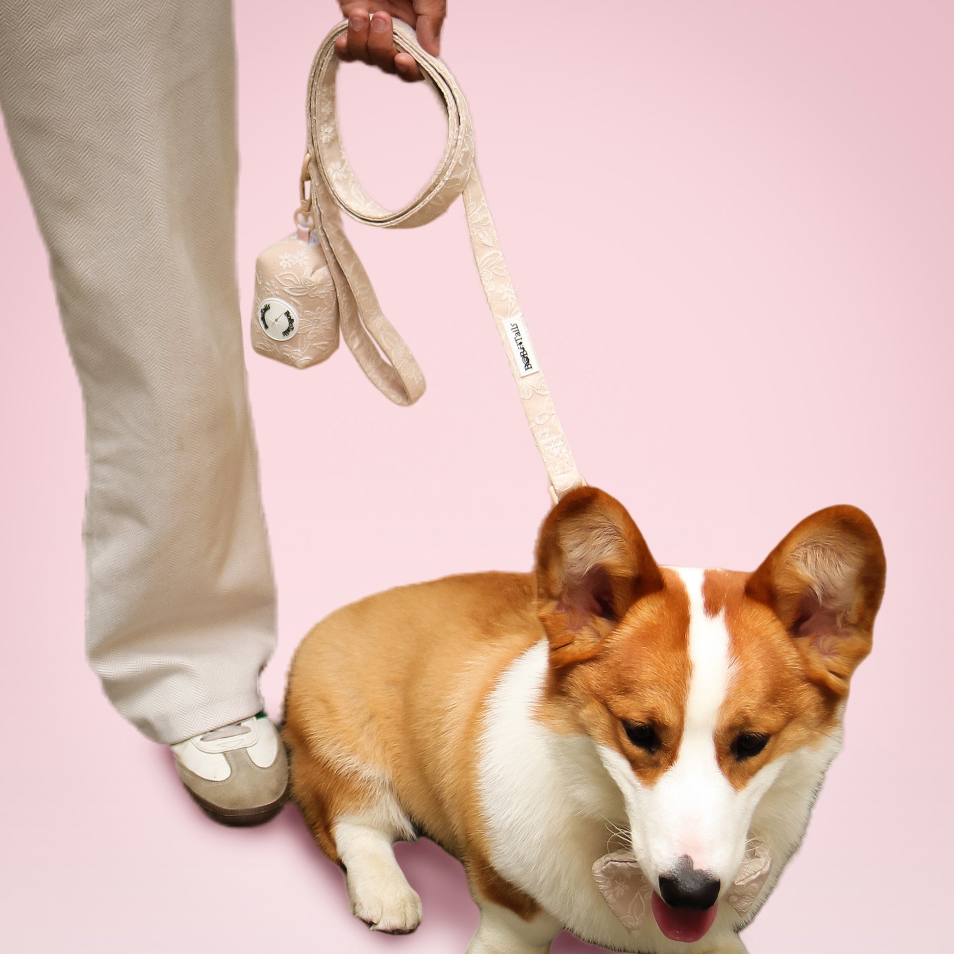 Morning Glory poop bag dispenser for leash matching the morning glory harness and owner accessories for daily dog walks