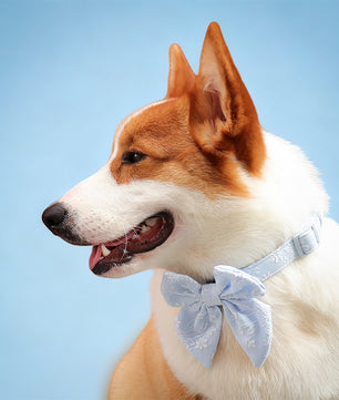 Morning  Glory small dog bow tie designed to complement the harness and accessories within the set