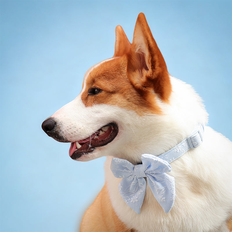 Morning  Glory small dog bow tie designed to complement the harness and accessories within the set