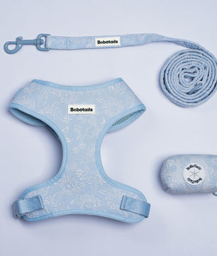 A light blue patterned pet harness, matching leash, and a small zippered storage pouch with Boboatois branding, arranged on a clean white background.