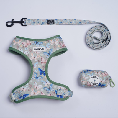 Ensemble harnais imprimé papillon, laisse et porte-sacs à crottes