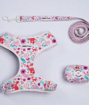 Ensemble harnais, laisse et porte-sacs à crottes imprimé dinosaures