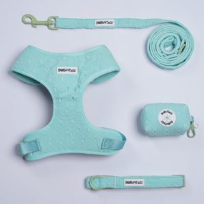 Ensemble harnais, laisse, collier et porte-sacs à crottes en soie brodée