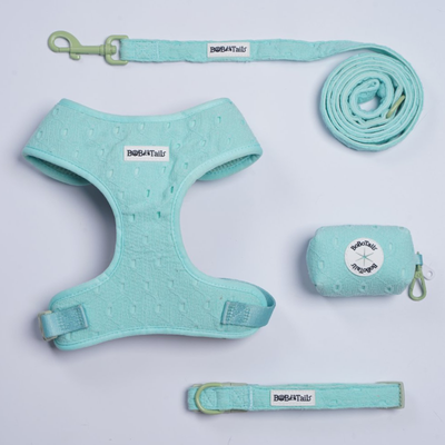 Ensemble harnais, laisse, collier et porte-sacs à crottes en soie brodée