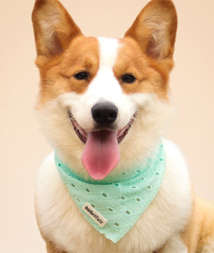 Bandana de chien de broderie en soie