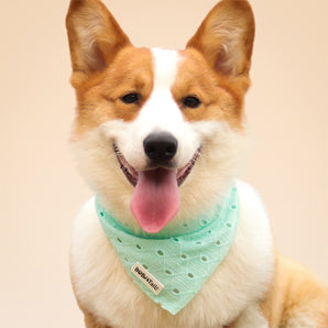 Bandana de chien de broderie en soie