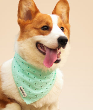 Bandana de chien de broderie en soie