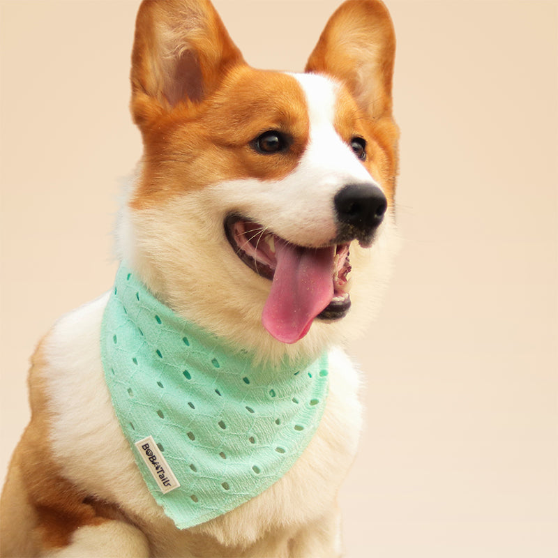 Bandana de chien de broderie en soie