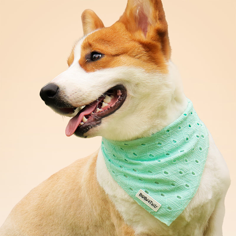 Bandana de chien de broderie en soie