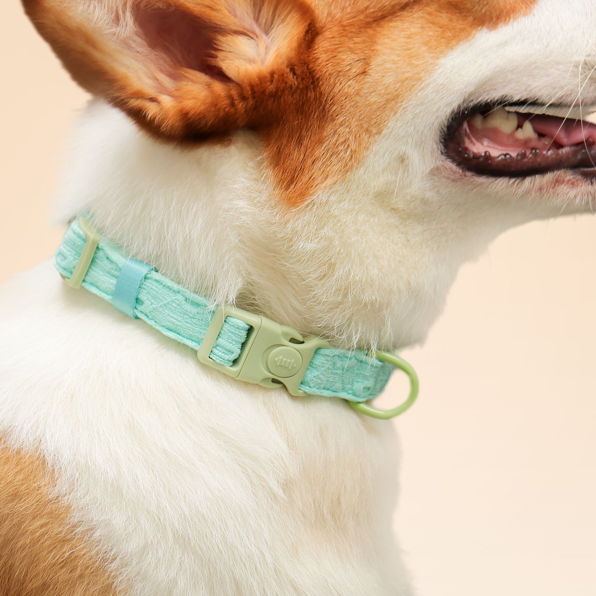 Collier de chien de broderie en soie