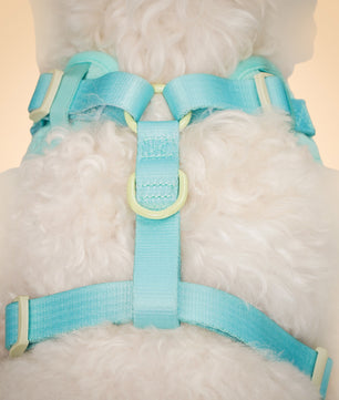 Silk embroidery harness side view small medium dog – Bobotails