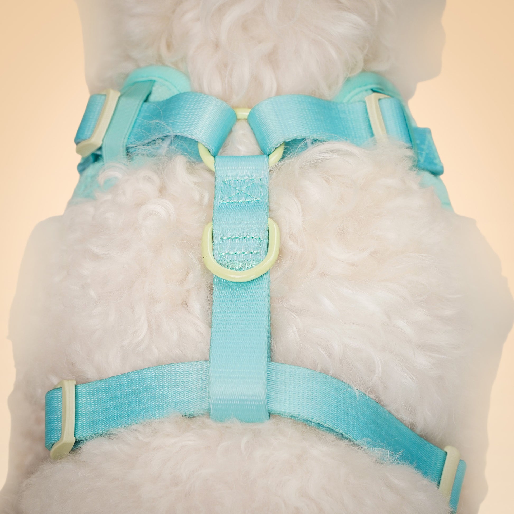 Silk embroidery harness side view small medium dog – Bobotails