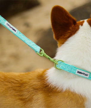 Broderie en soie tirant la laisse des chiens
