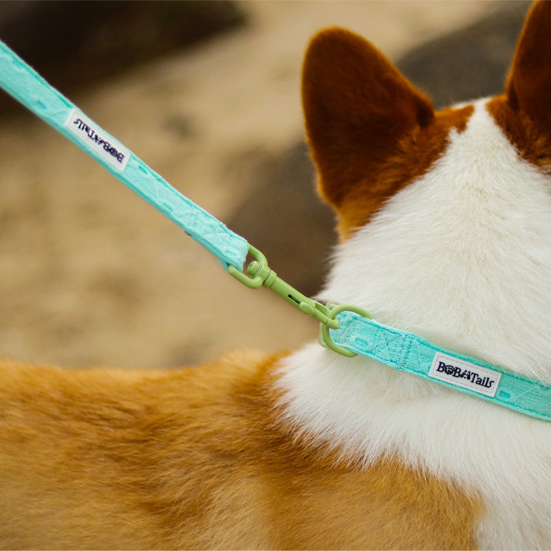 Broderie en soie tirant la laisse des chiens